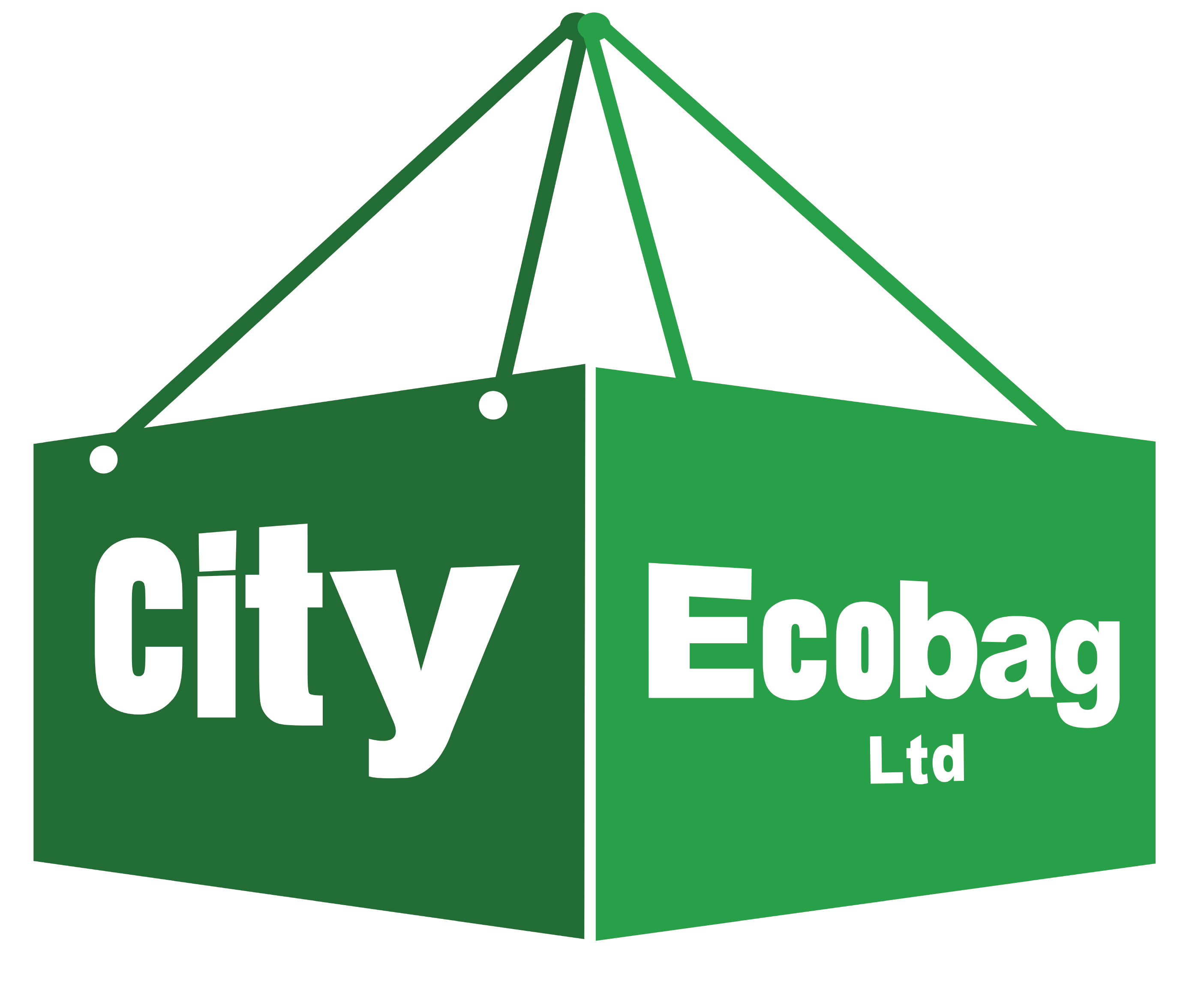 Eco Bags - City Disposal Containers Inc