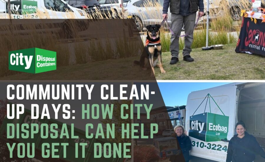 Volunteers participate in a community clean-up event with City Disposal Containers and Ecobag services, featuring a green disposal bin, a City Ecobag van, and participants collecting garbage and donations.
